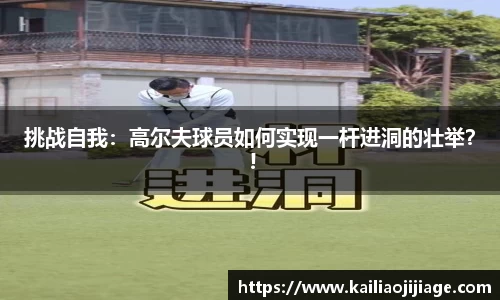 凤凰联盟